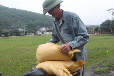 Đã có 1.600 tấn gạo cứu đói cho hơn 100.000 dân bị ảnh hưởng do mưa bão.